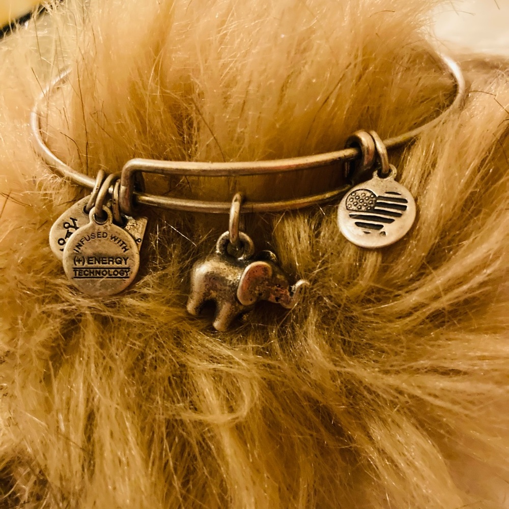 Alex and Ani Elephant charm bangle